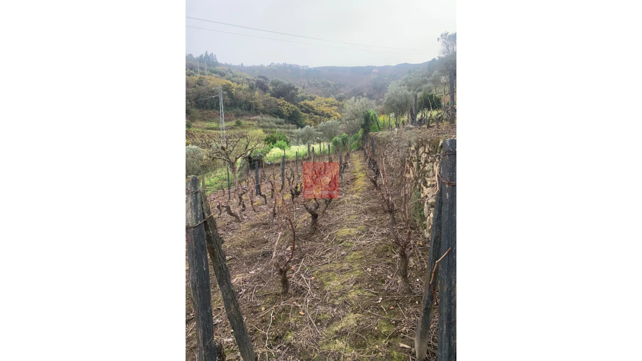 Terreno para Venda em Cambres Foto 36