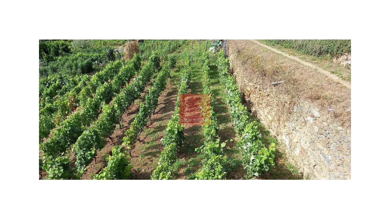 Terreno para Venda em Cambres Foto 15