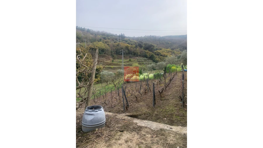 Terreno para Venda em Cambres Foto 34