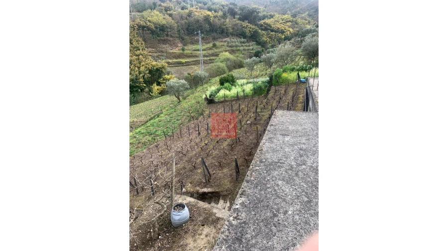 Terreno para Venda em Cambres Foto 5