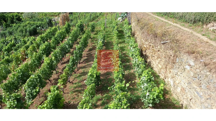 Terreno para Venda em Cambres Foto 15