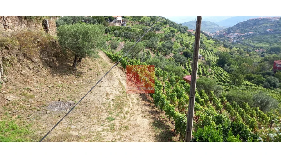 Terreno para Venda em Cambres Foto 6