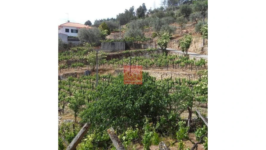 Terreno para Venda em Cambres Foto 44