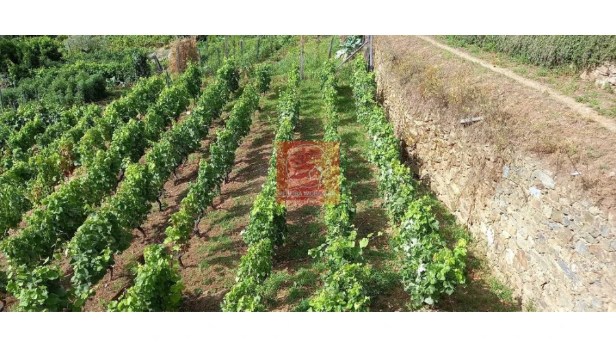 Terreno para Venda em Cambres Foto 22