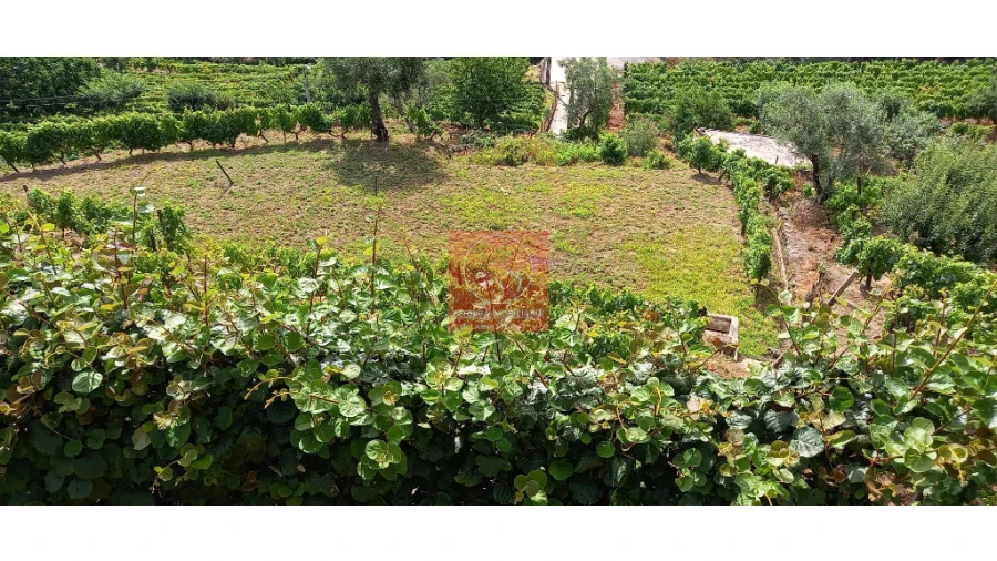 Terreno para Venda em Cambres Foto 8