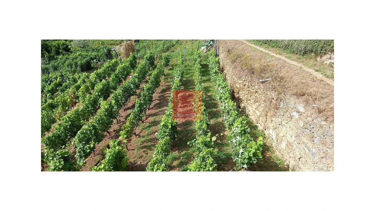 Terreno para Venda em Cambres Foto 22