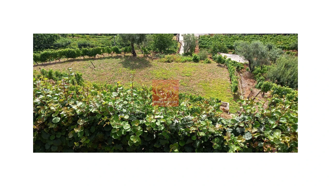 Terreno para Venda em Cambres Foto 8