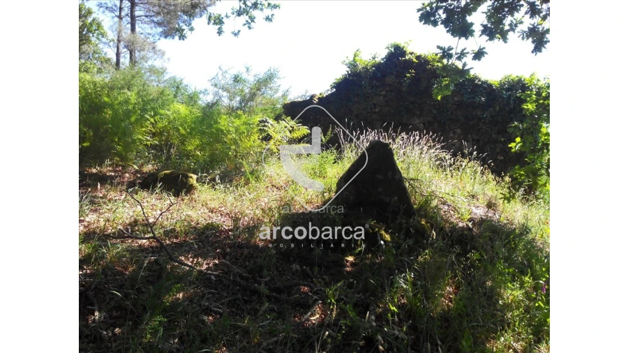 Moradia para Venda em Formariz e Ferreira Foto 4