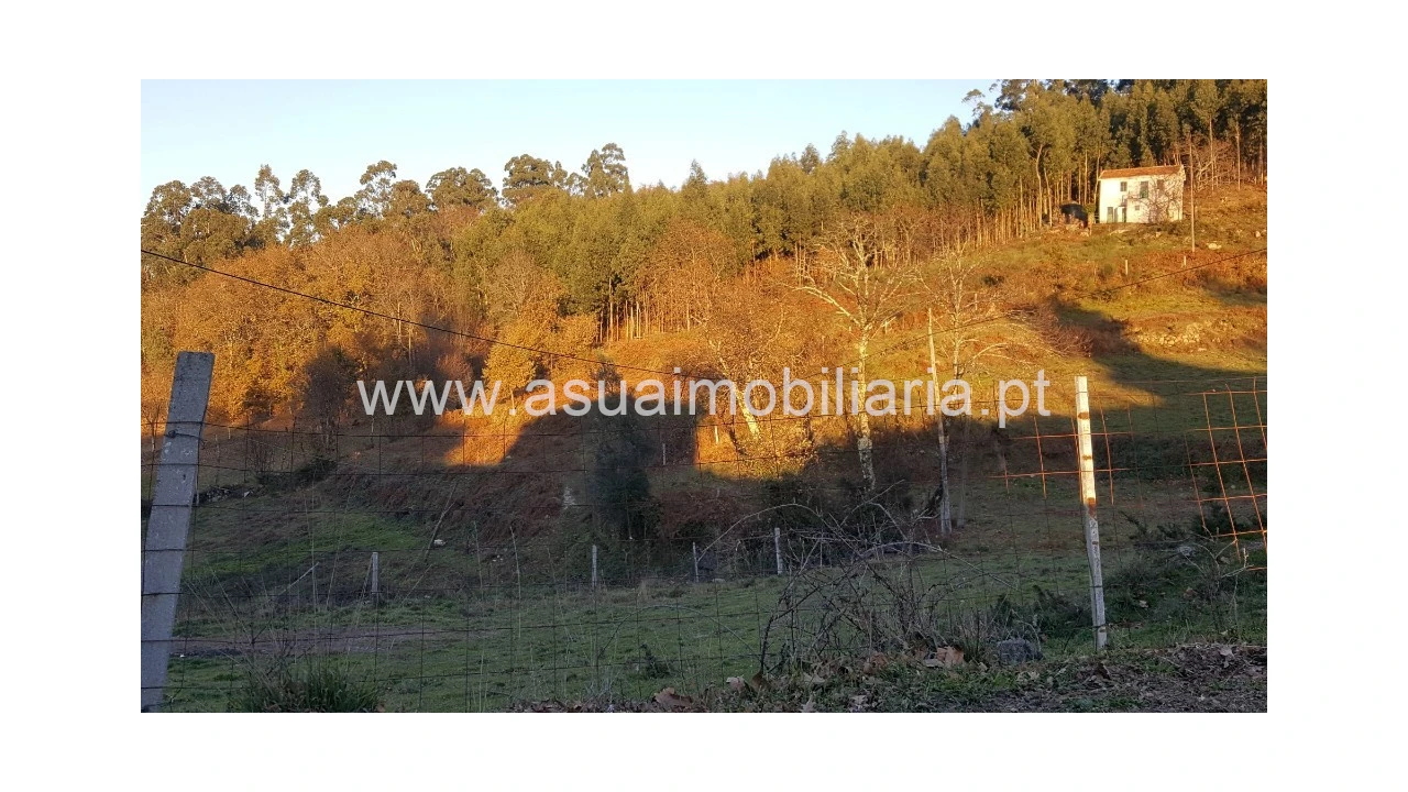 Terreno para Venda em Caniçada e Soengas Foto 2