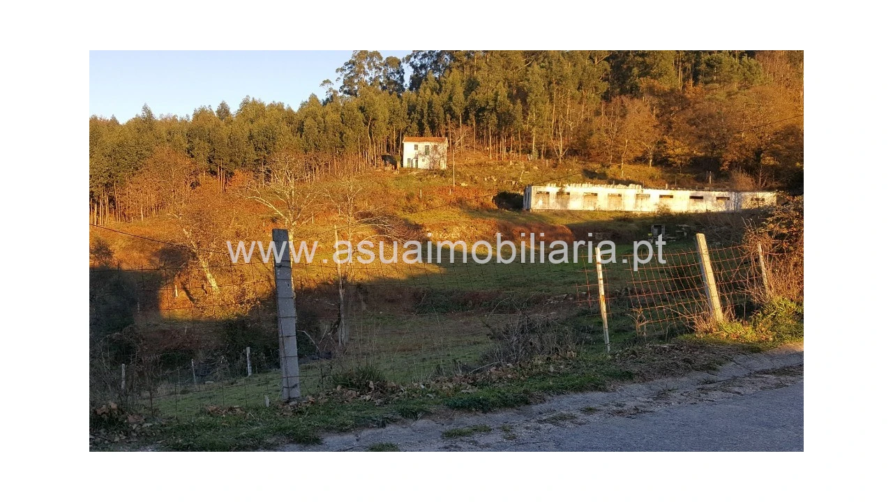 Terreno para Venda em Caniçada e Soengas Foto 1