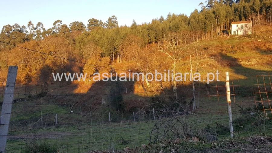 Terreno para Venda em Caniçada e Soengas Foto 2