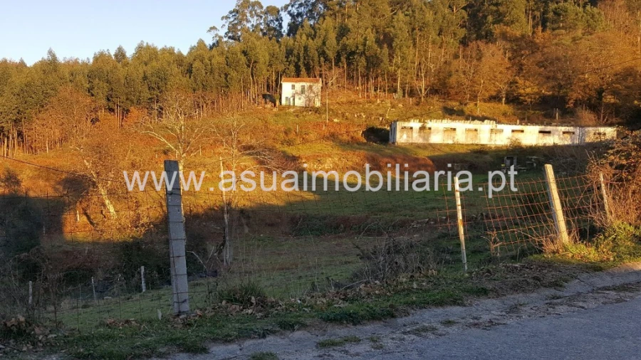 Terreno para Venda em Caniçada e Soengas