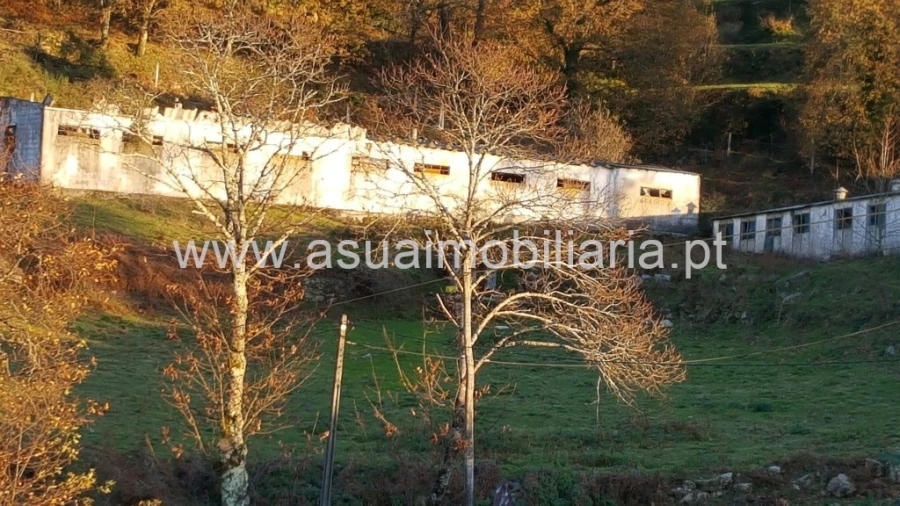 Terreno para Venda em Caniçada e Soengas Foto 3