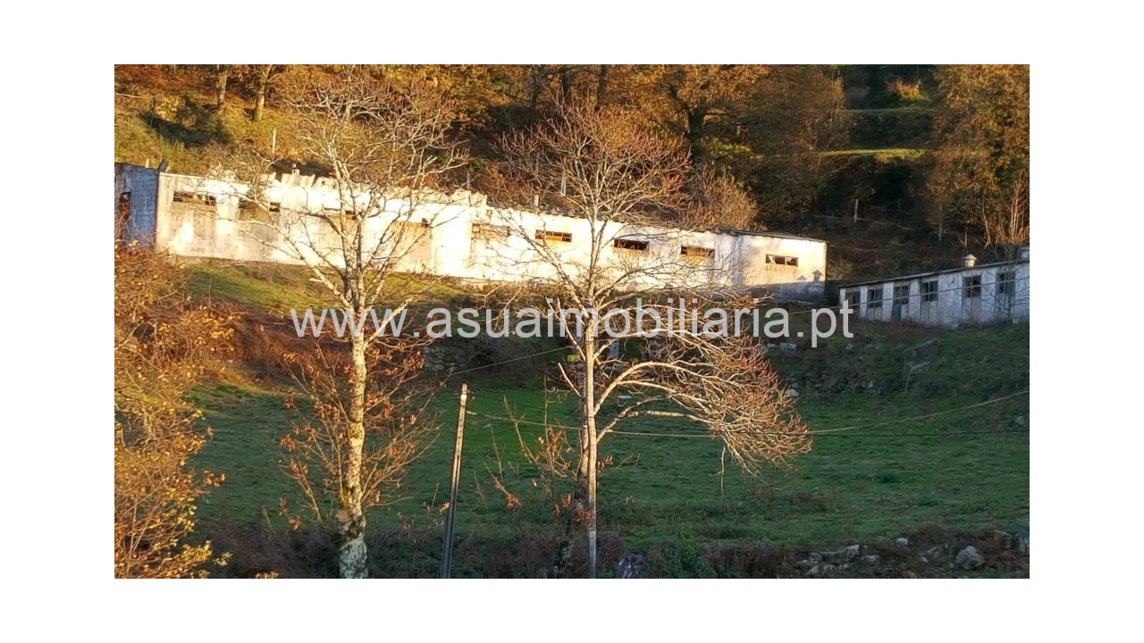Terreno para Venda em Caniçada e Soengas Foto 3