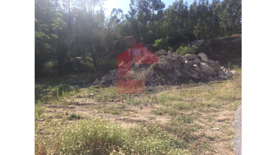 Terreno para Venda em Oriz (Santa Marinha) e Oriz (São Miguel) Foto 8