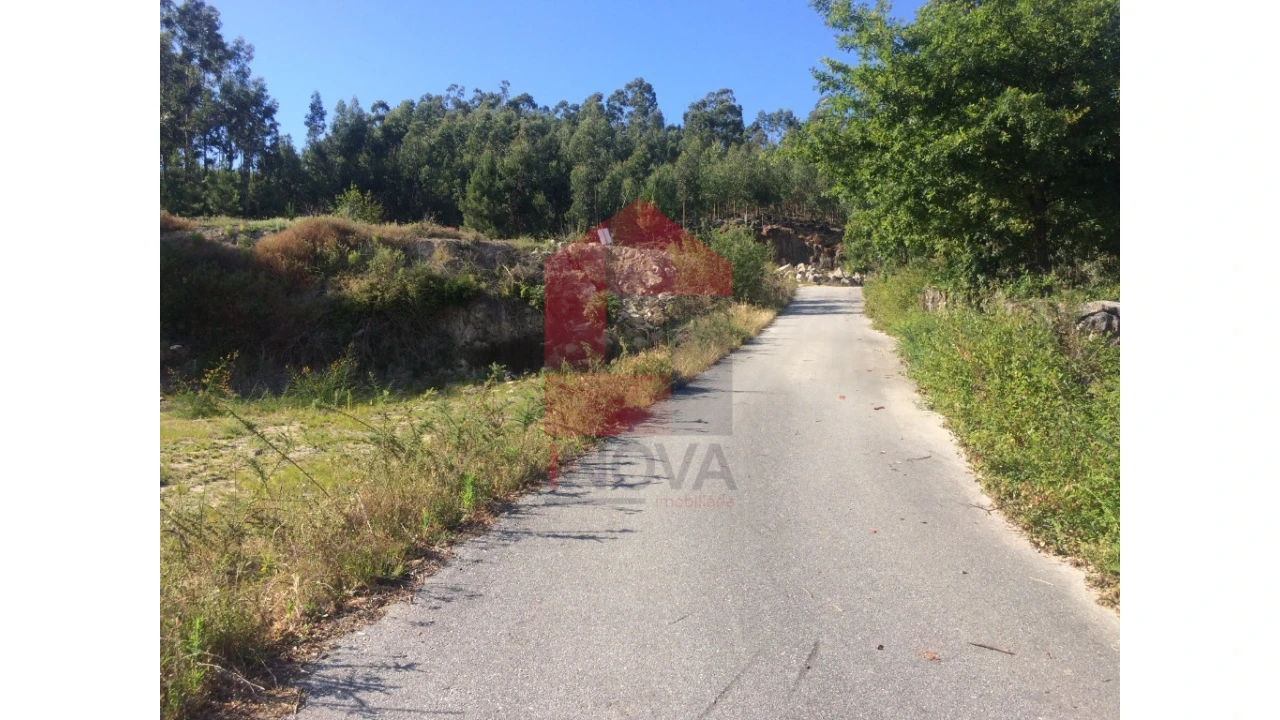 Terreno para Venda em Oriz (Santa Marinha) e Oriz (São Miguel) Foto 6