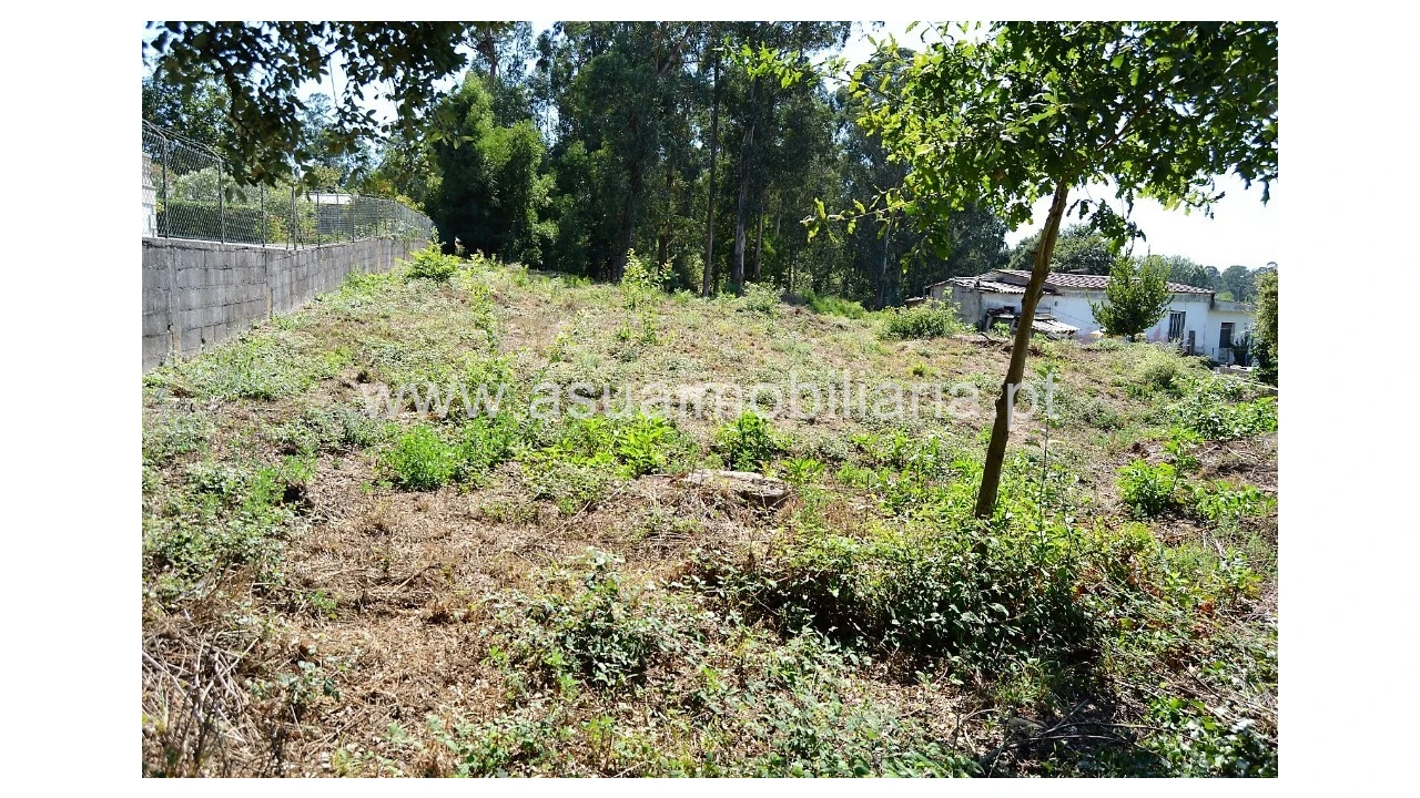 Terreno para Venda em Barreiros Foto 5