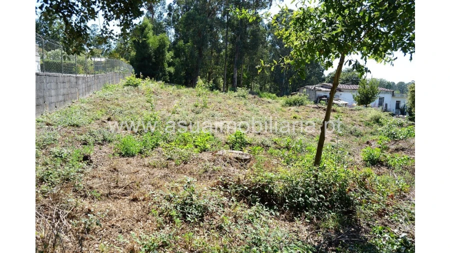 Terreno para Venda em Barreiros Foto 5