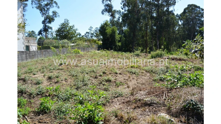 Terreno para Venda em Barreiros Foto 4