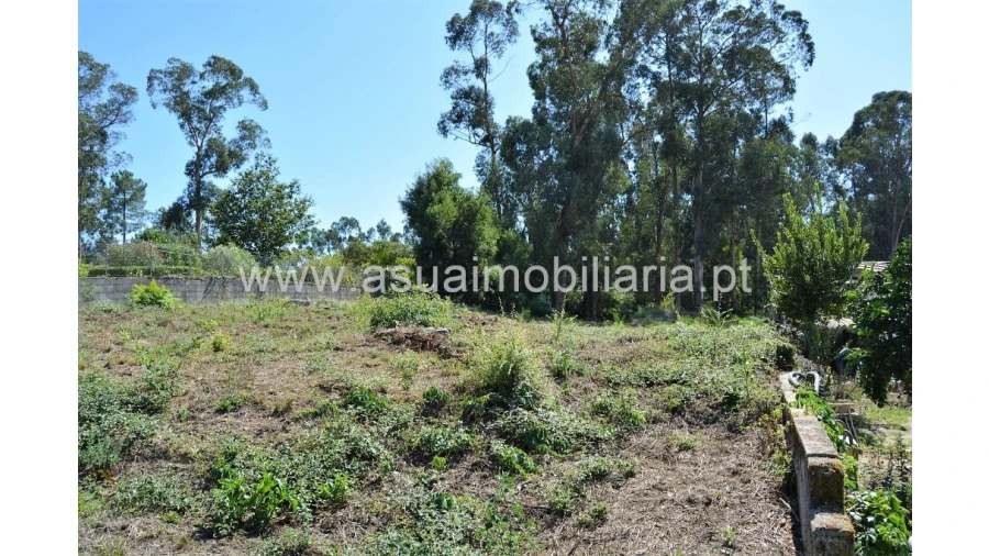 Terreno para Venda em Barreiros Foto 6