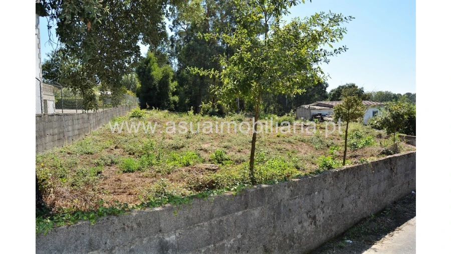 Terreno para Venda em Barreiros Foto 3