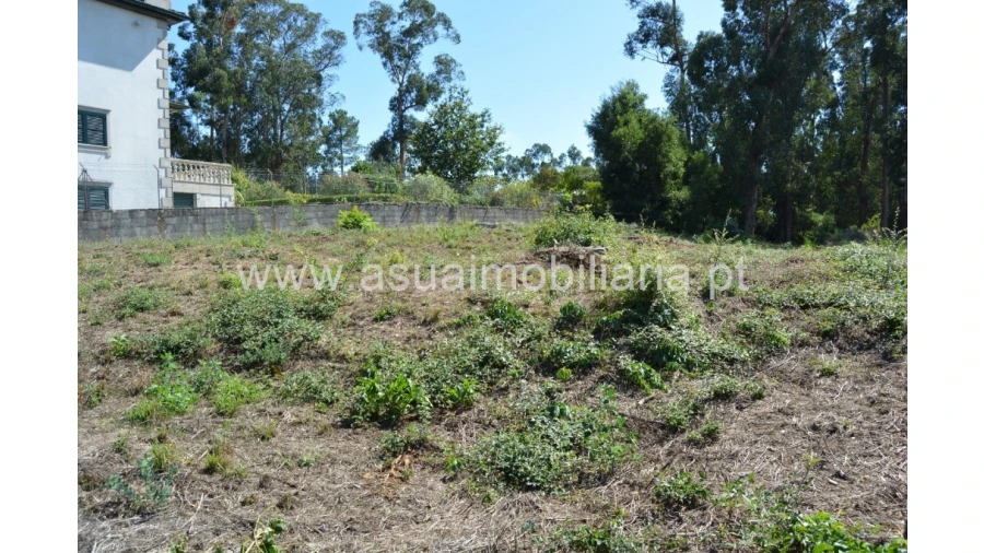 Terreno para Venda em Barreiros Foto 7