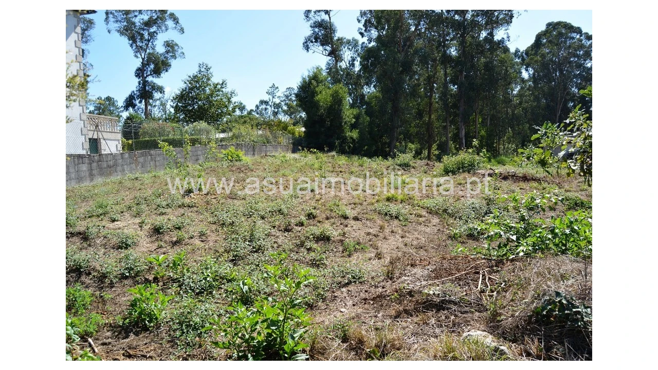 Terreno para Venda em Barreiros Foto 4