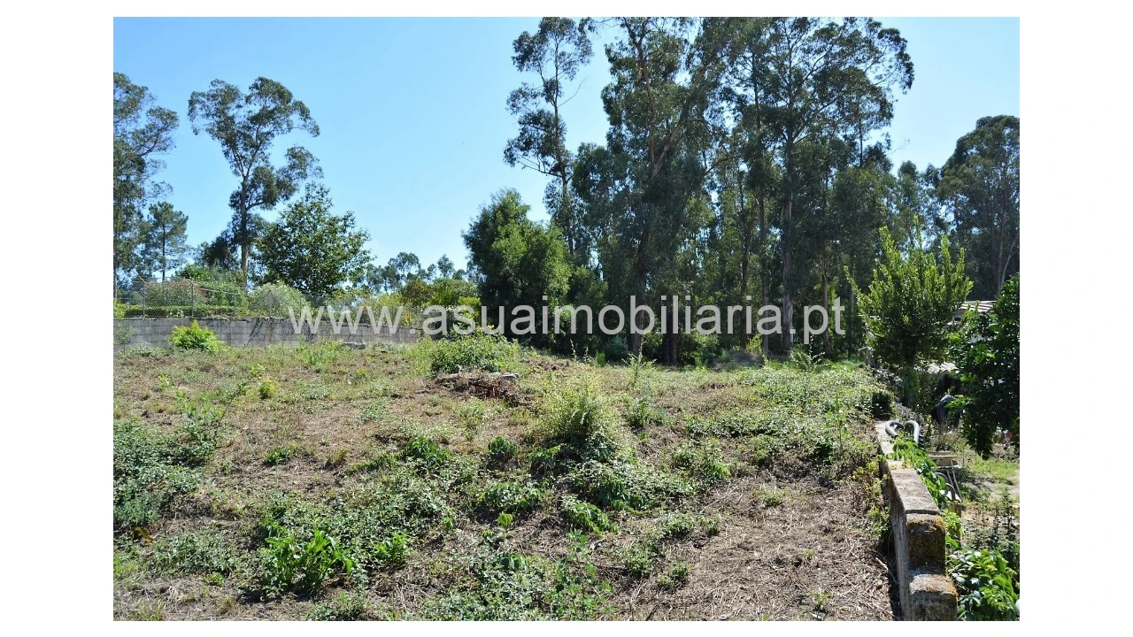Terreno para Venda em Barreiros Foto 6