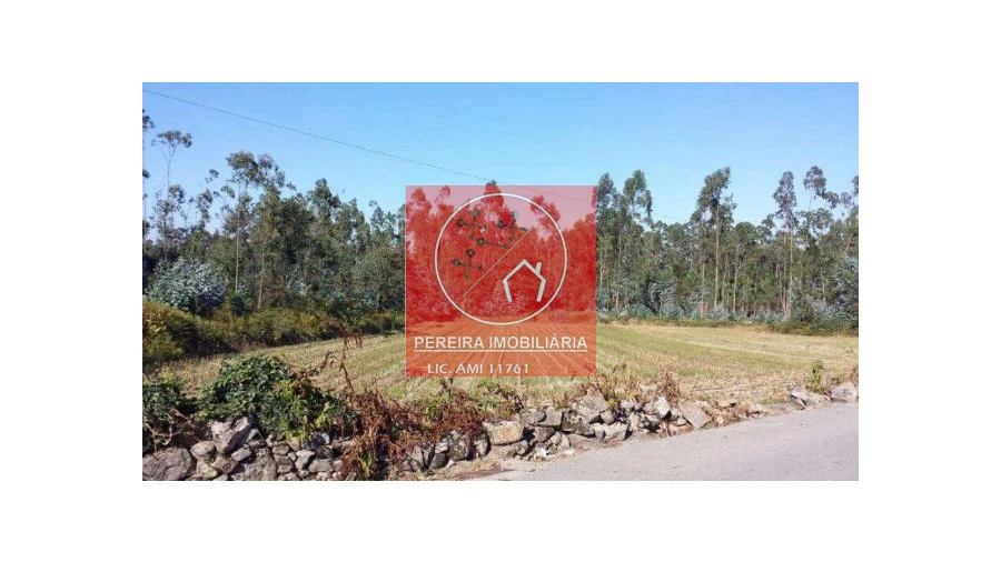 Terreno para Venda em Junqueira Foto 3