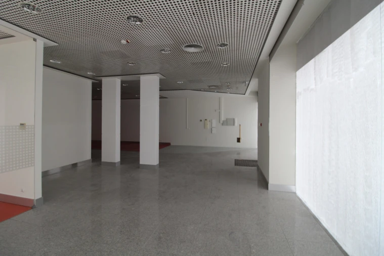 Loja para Arrendamento em Viatodos, Grimancelos, Minhotães, Monte Fralães Foto 6