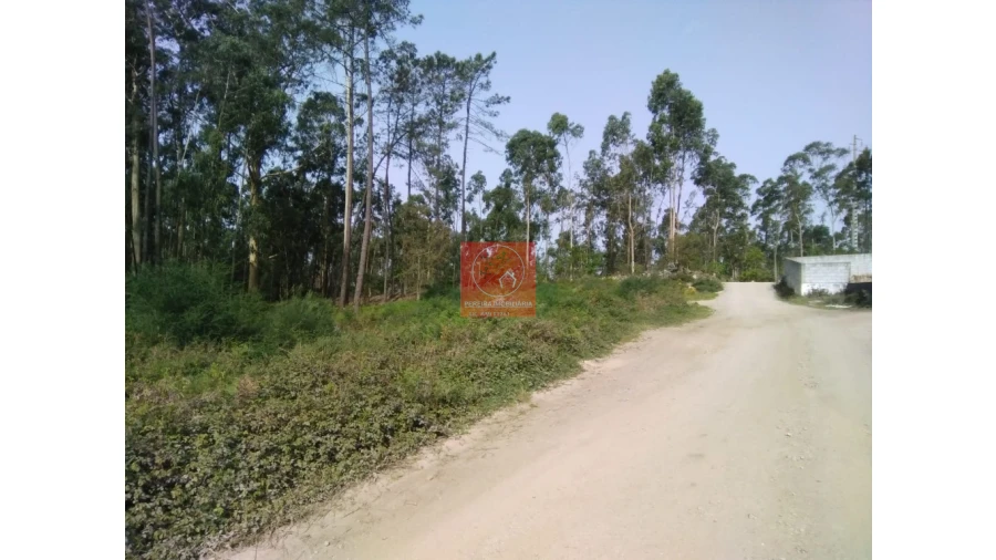 Terreno para Venda em Perelhal Foto 7