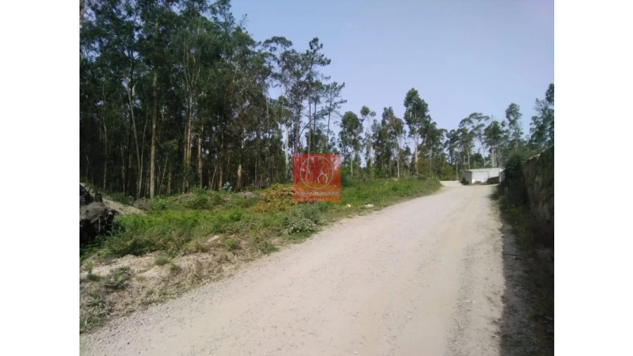 Terreno para Venda em Perelhal Foto 4