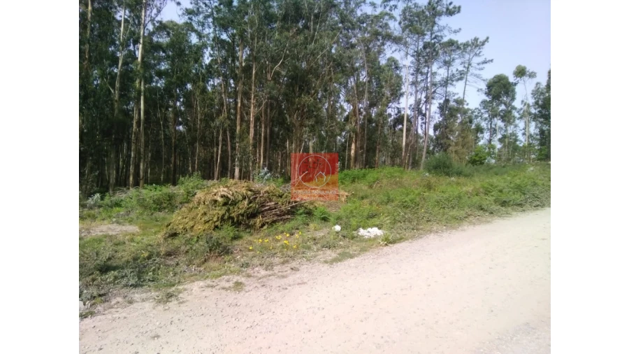 Terreno para Venda em Perelhal