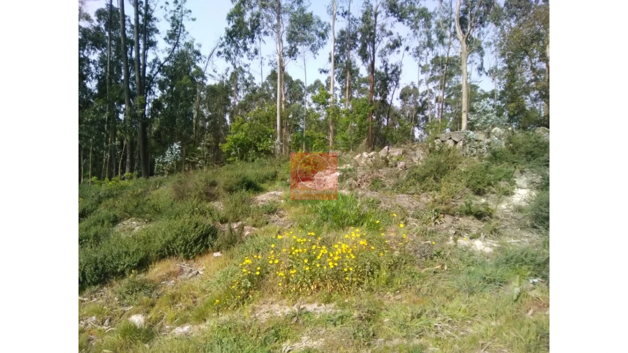Terreno para Venda em Perelhal Foto 6