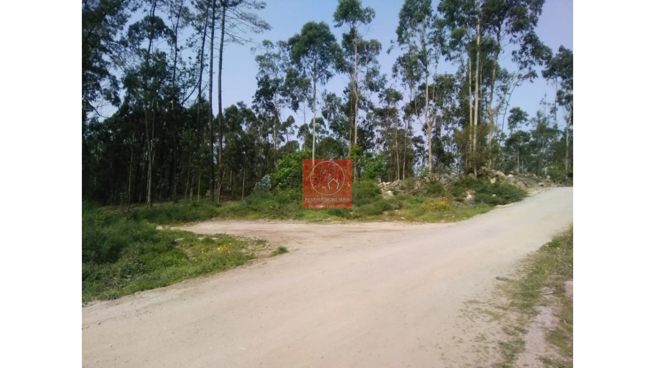 Terreno para Venda em Perelhal Foto 3