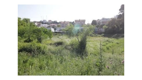 Terreno para Venda em Assafarge e Antanhol