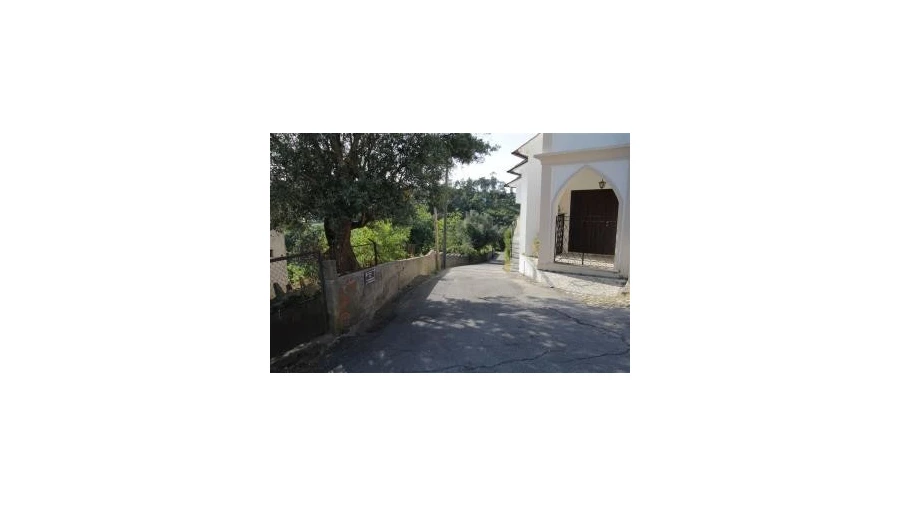 Terreno para Venda em Assafarge e Antanhol Foto 4