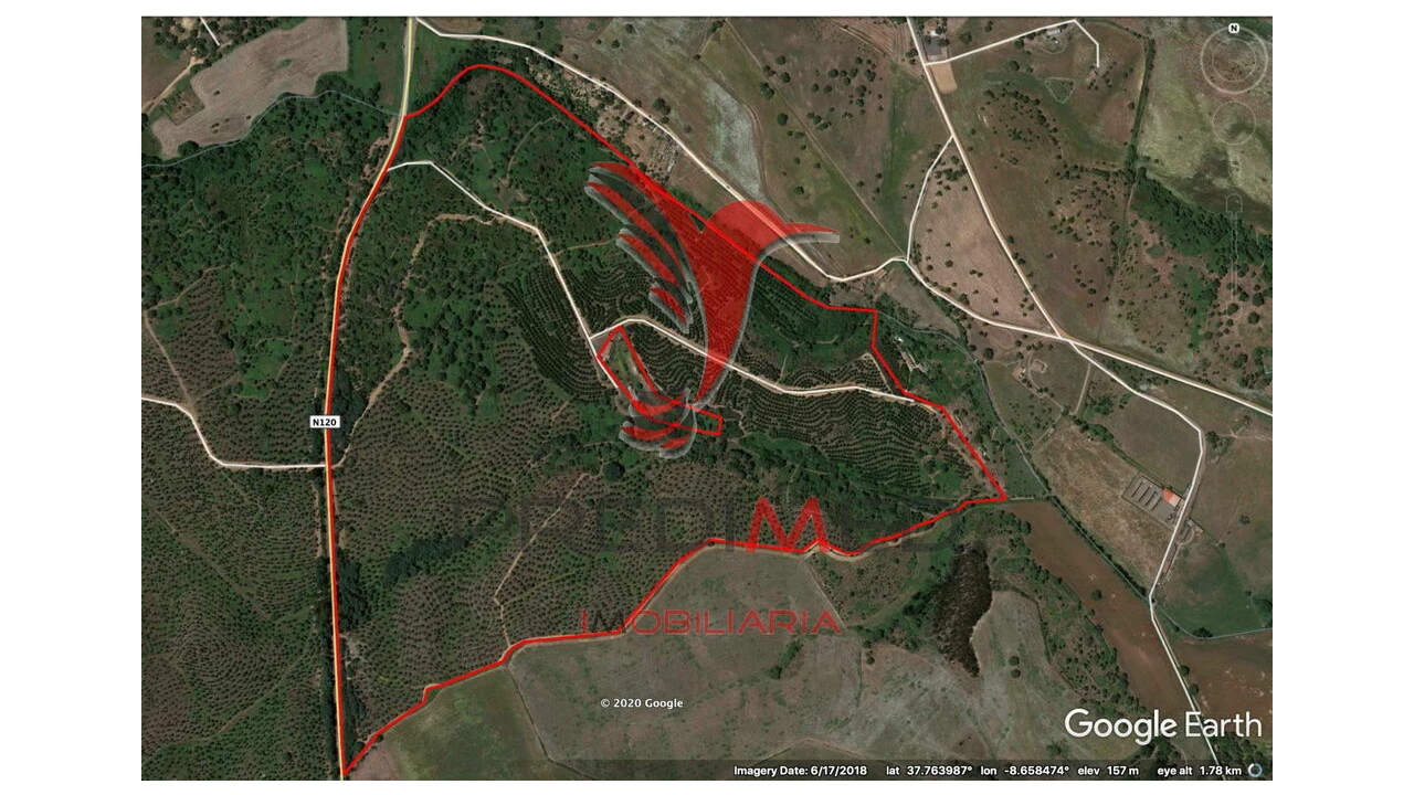 Quinta para Venda em São Luis Foto 5