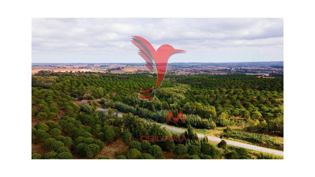 Quinta para Venda em São Luis Foto 3