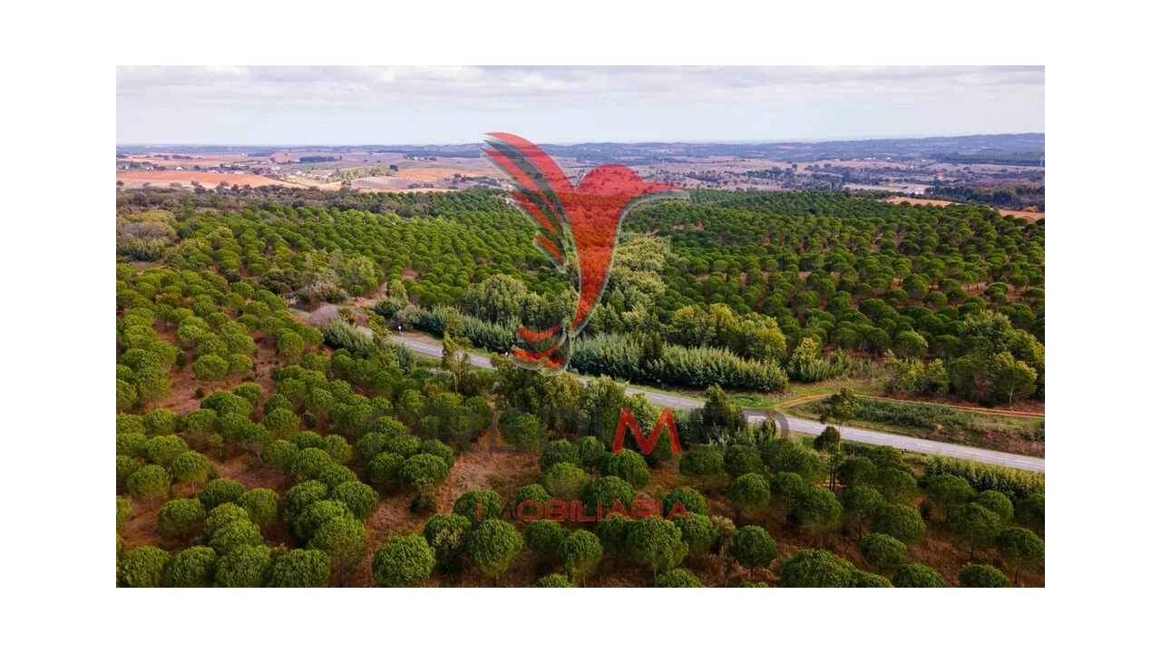 Quinta para Venda em São Luis Foto 13