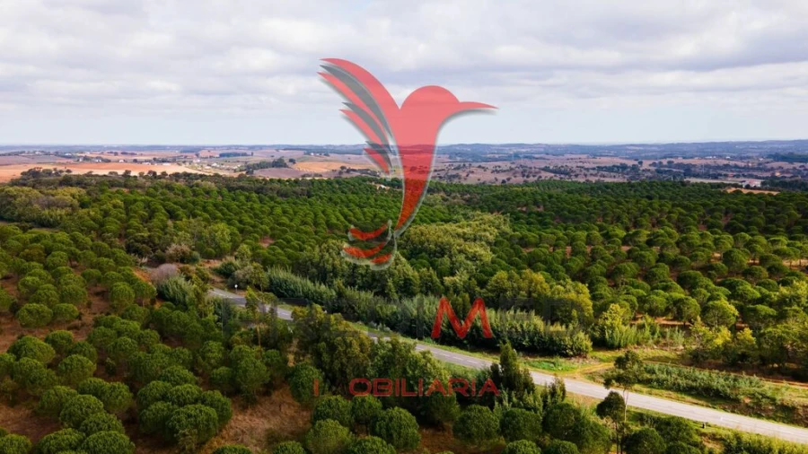 Quinta para Venda em São Luis Foto 3