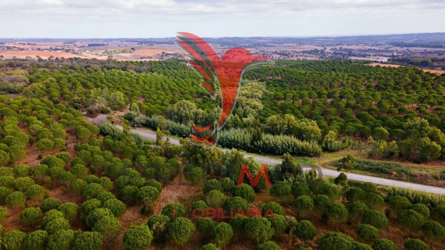 Quinta para Venda em São Luis Foto 13