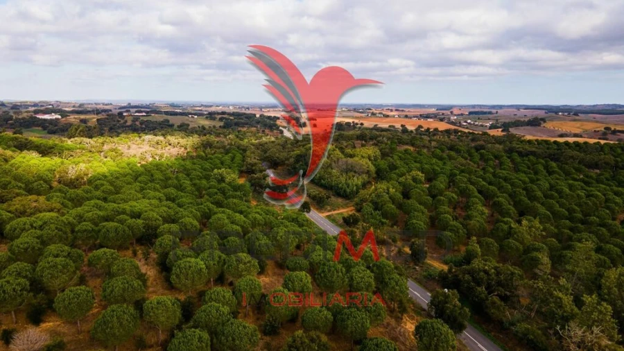 Quinta para Venda em São Luis Foto 10