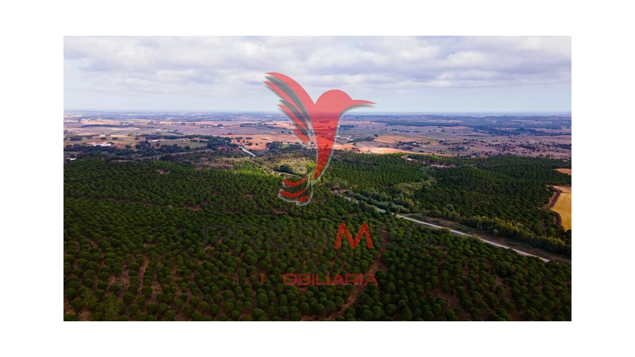 Quinta para Venda em São Luis Foto 16