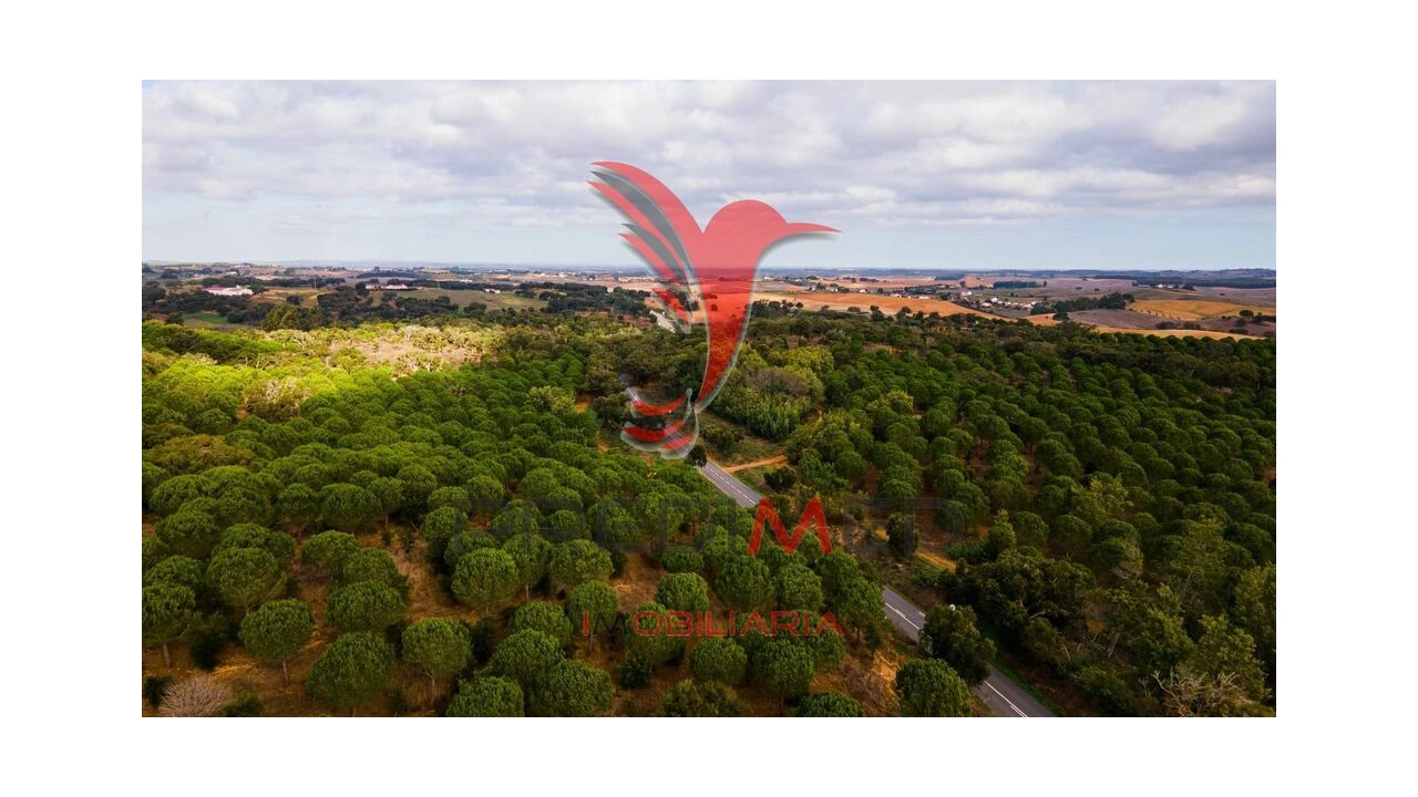 Quinta para Venda em São Luis Foto 10