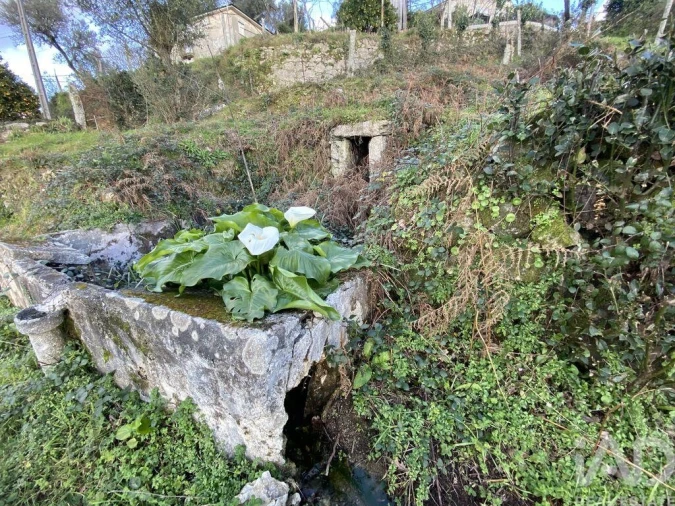 Moradia T3 para Venda em Vale Foto 24