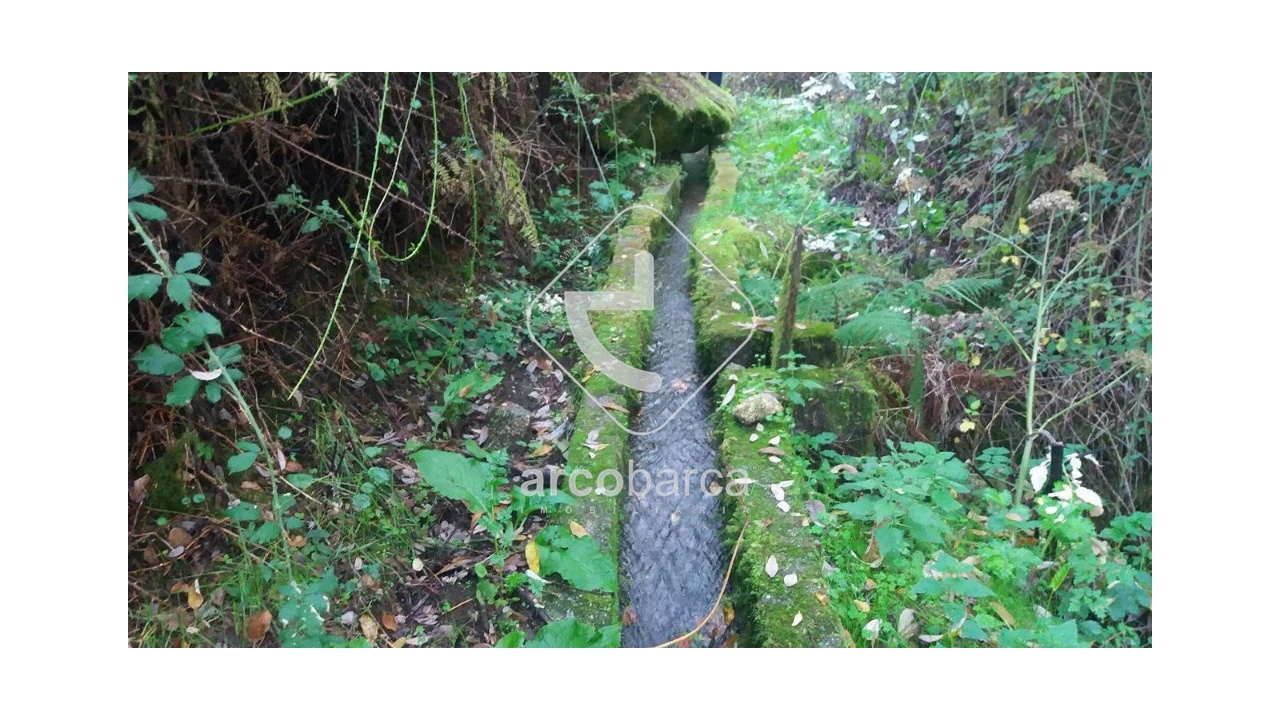 Terreno para Venda em Lavradas Foto 8