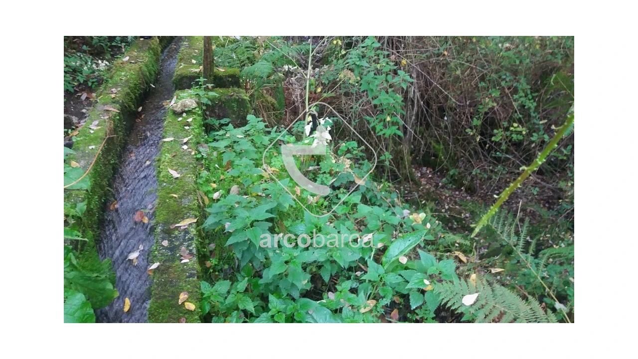 Terreno para Venda em Lavradas Foto 3