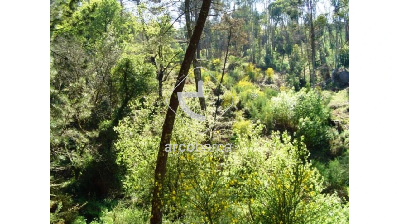 Terreno para Venda em Lavradas Foto 2