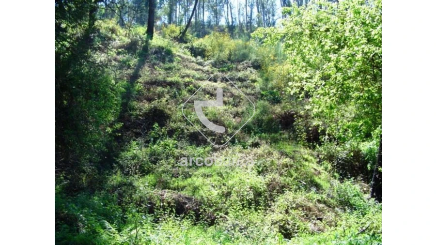 Terreno para Venda em Lavradas Foto 1